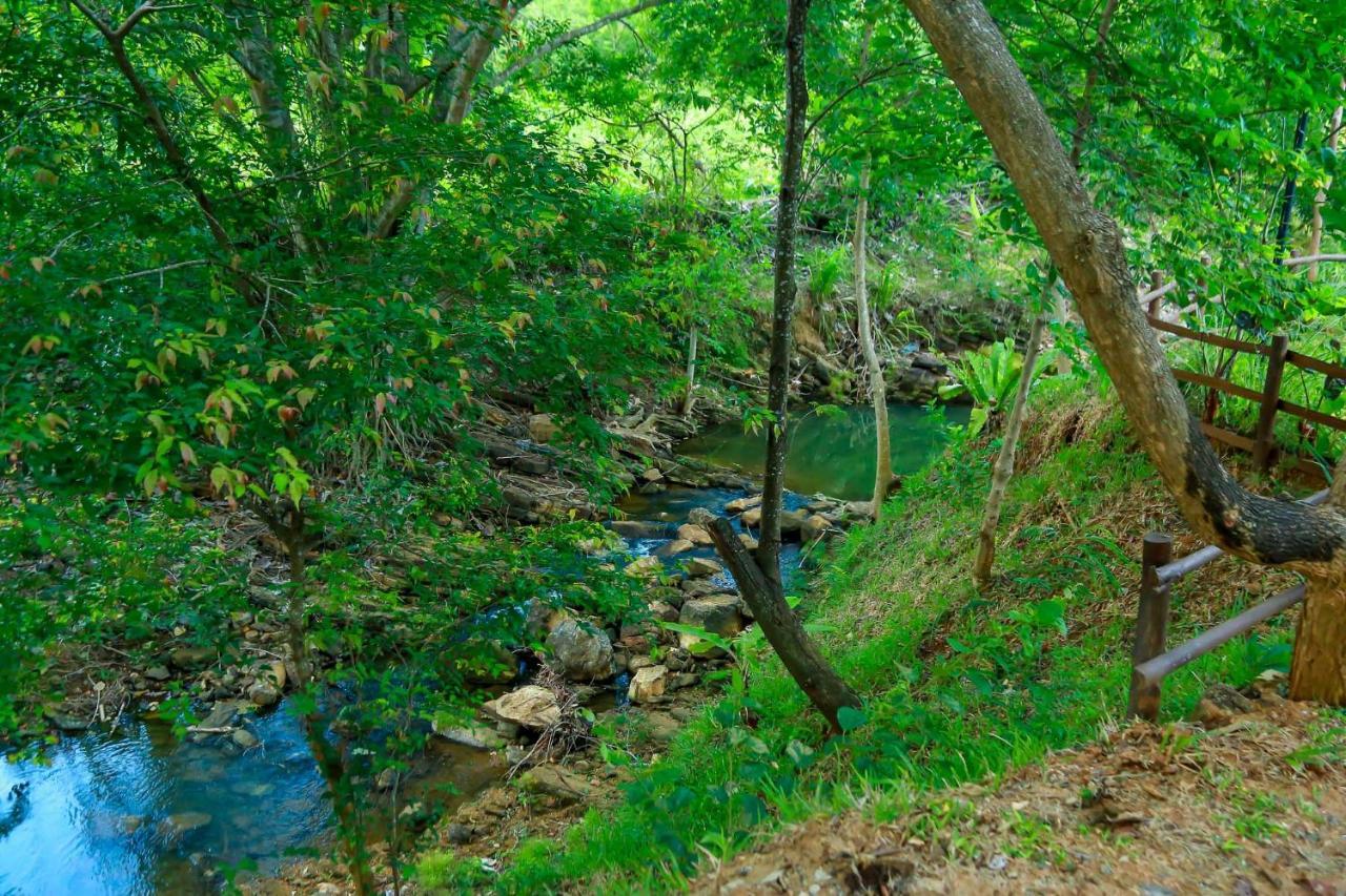 Doola River Edge Uda Walawe Extérieur photo