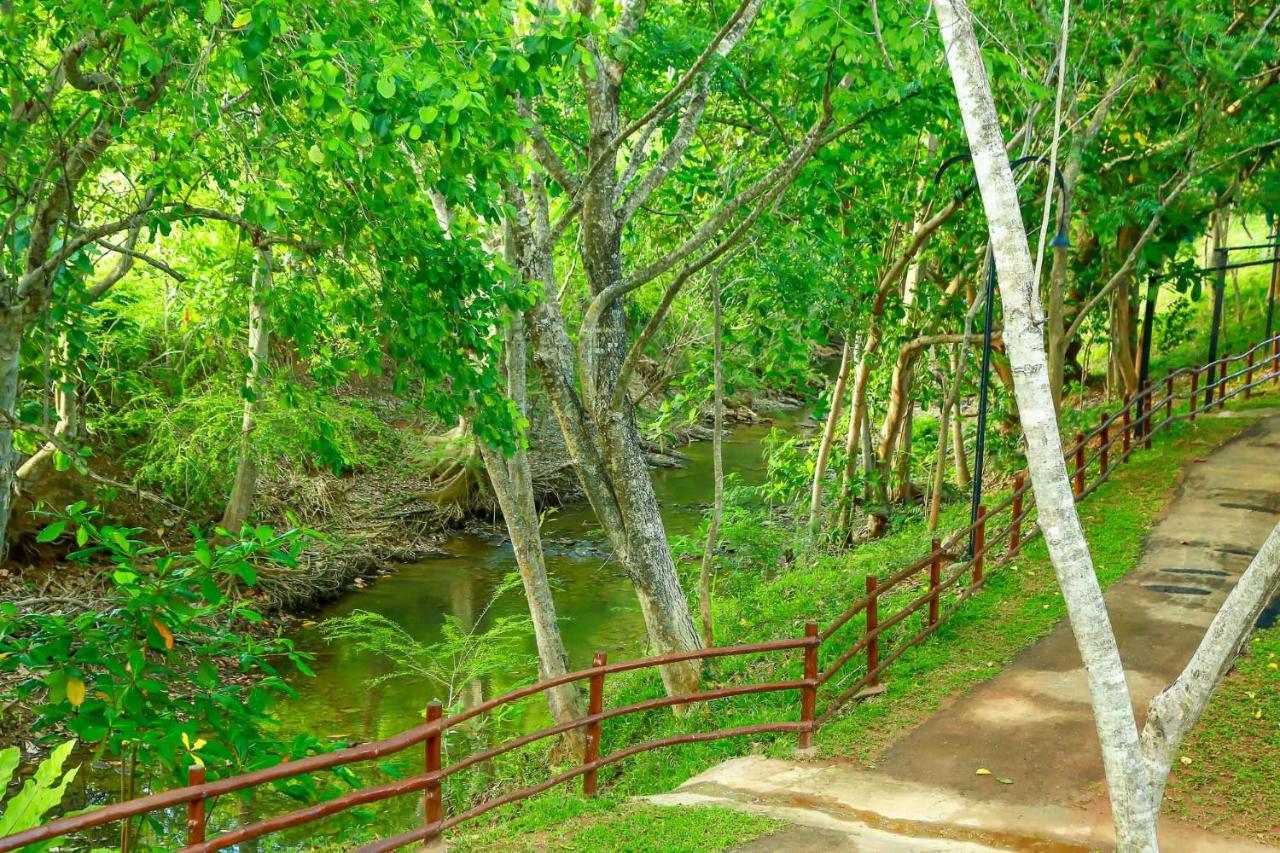 Doola River Edge Uda Walawe Extérieur photo