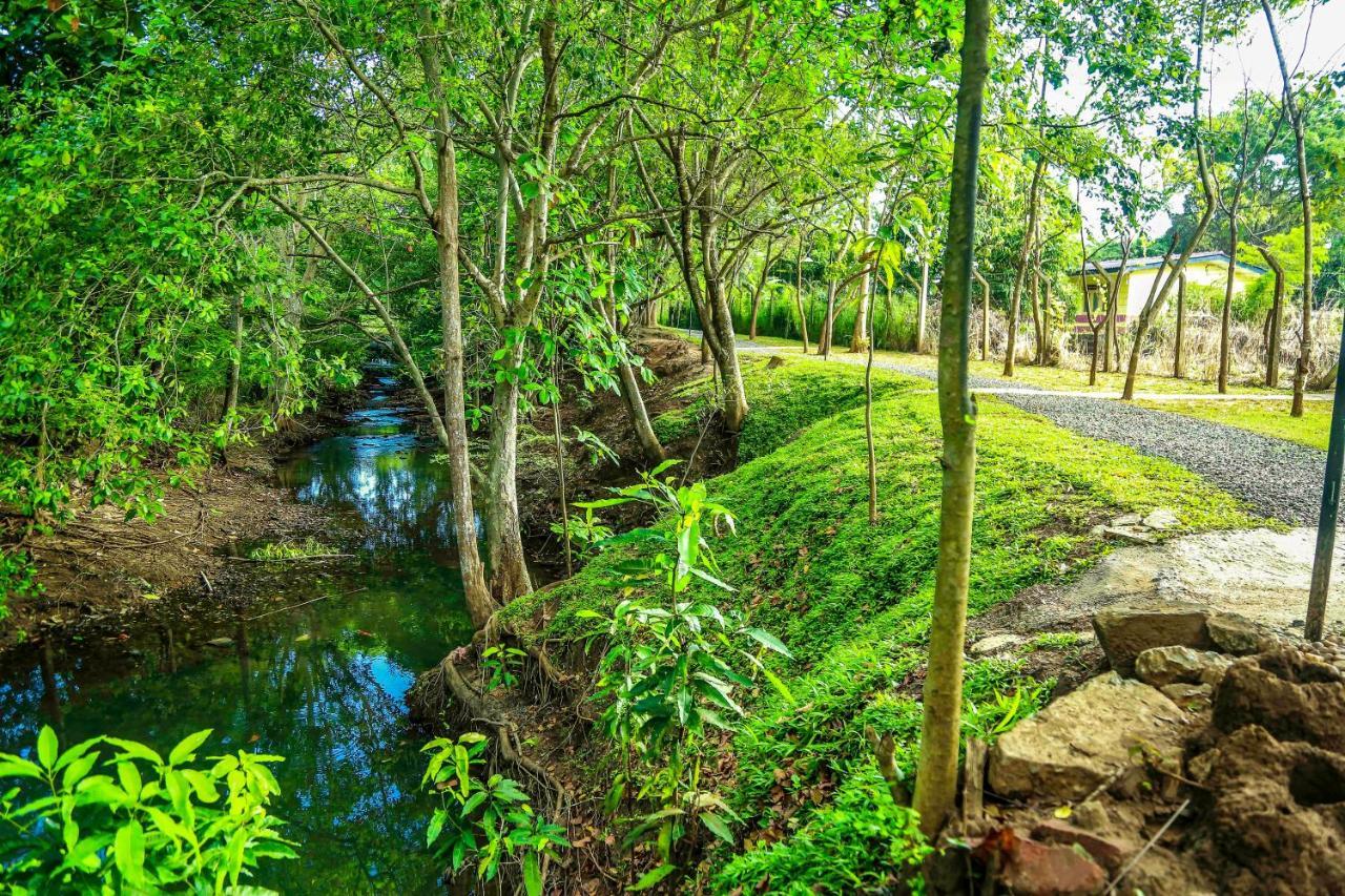 Doola River Edge Uda Walawe Extérieur photo